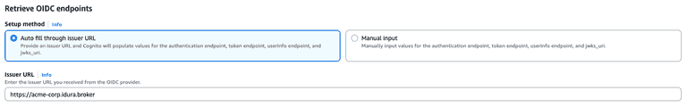 AWS Cognito Provider example